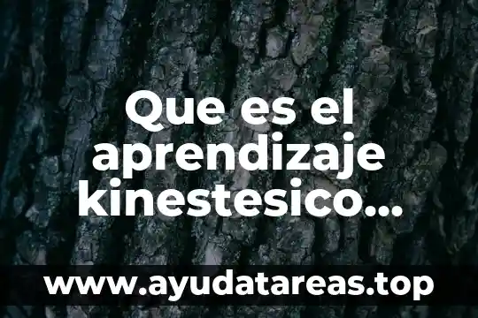 Que es el aprendizaje kinestesico definicion