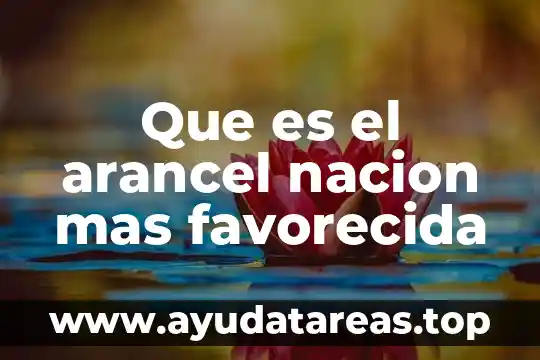Qué es nación y qué es país 4 Que es el arancel nacion mas favorecida