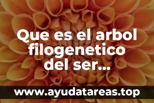 Agua intersticial en el cuerpo humano 5 Que es el arbol filogenetico del ser humano