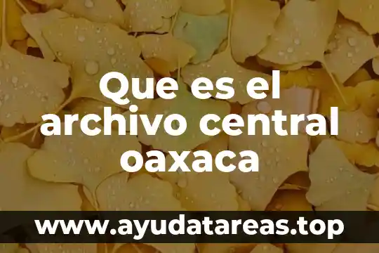 Que es el archivo central oaxaca