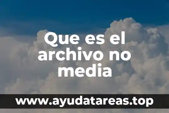 Que es el archivo no media