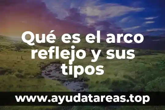 Que es un multimetro tipos 5 Qué es el arco reflejo y sus tipos