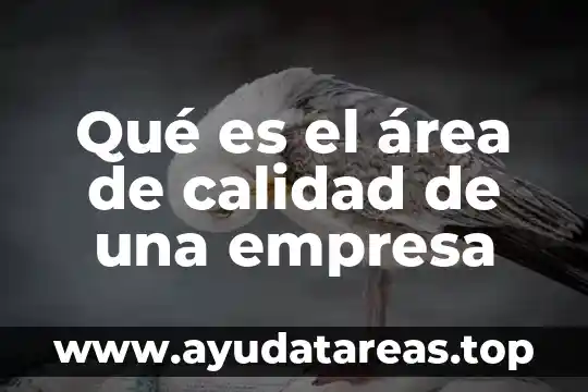 Qué es un animal de selva 4 Qué es el área de calidad de una empresa