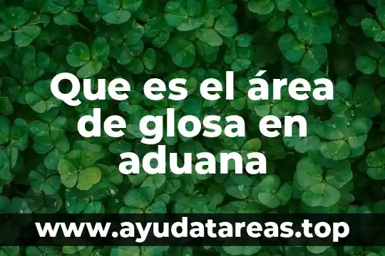 Que es el área de glosa en aduana
