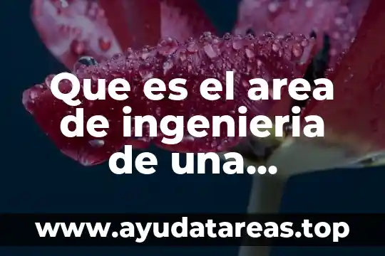 Que es el area de ingenieria de una empresa constructora