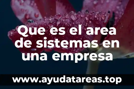 Que es el area de sistemas en una empresa