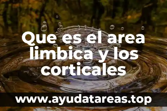 Que es el area limbica y los corticales