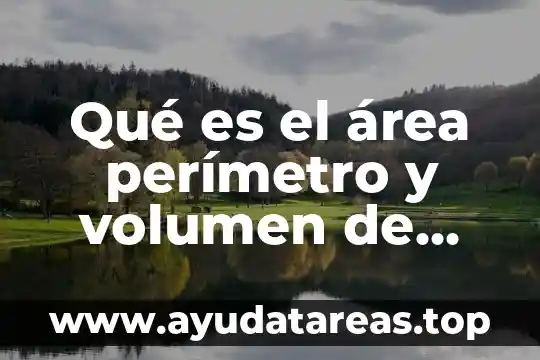 Qué es perímetro abdominal en general 6 Qué es el área perímetro y volumen de una figura