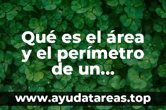 Qué es el área perímetro y volumen de una figura 4 Qué es el área y el perímetro de un cuadrilátero