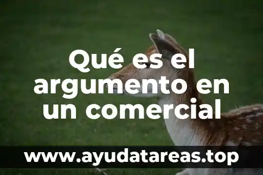 Qué es el argumento en un comercial
