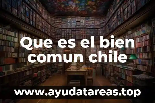 Que es el bien comun chile
