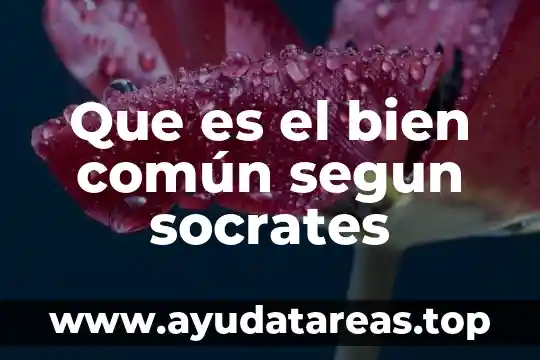 Según Sócrates qué es la filosofía 3 Que es el bien común segun socrates