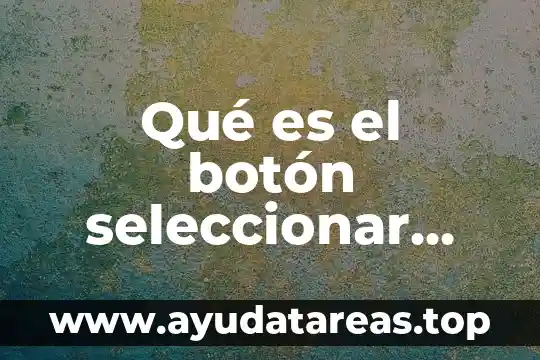 Qué es una búsqueda avanzada y sus funciones 3 Qué es el botón seleccionar objeto de búsqueda