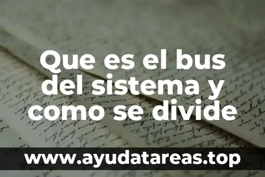Que es el bus del sistema y como se divide
