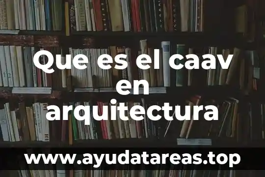 Qué es n i la arquitectura 4 Que es el caav en arquitectura