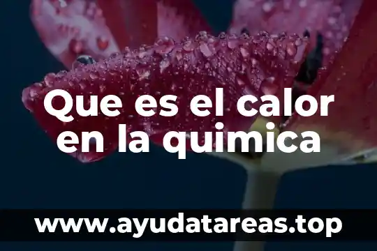 Que es el calor en la quimica