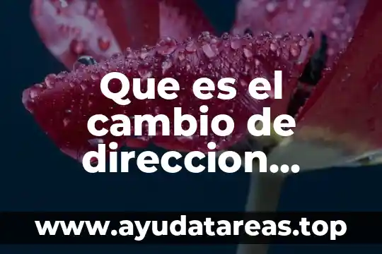 Que es el cambio de direccion administracion