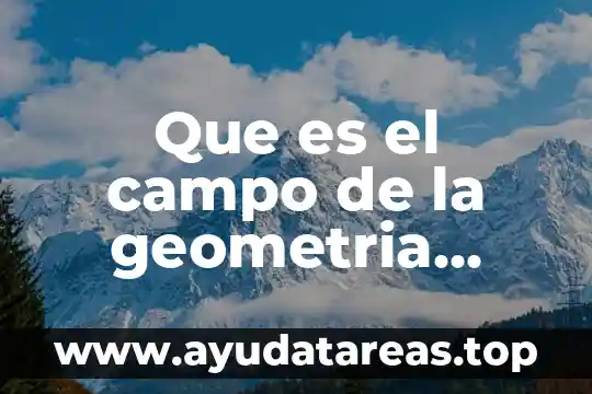 Que es el campo de la geometria analitica