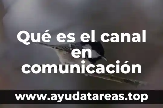 Qué es el canal en comunicación
