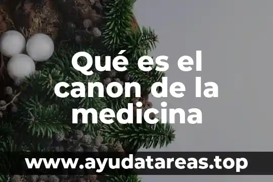 Que es color parda en medicina 8 Qué es el canon de la medicina