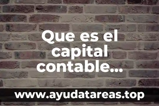 Que es un principio en metodologia segun autores 4 Que es el capital contable descrito por varios autores