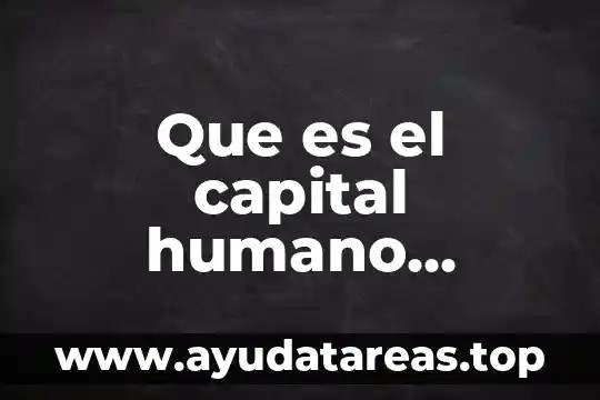 Que es el capital humano definicion chiavenato