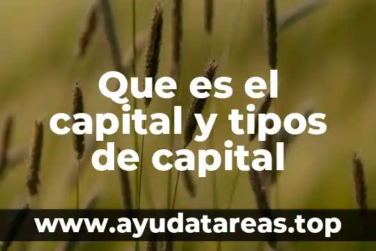 Que es innovacion y sus tipos 4 Que es el capital y tipos de capital