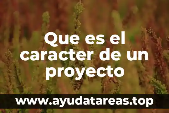 Que es neandertal significado 3 Que es el caracter de un proyecto
