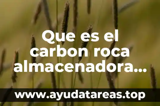 Que es lenguaje inconsciente del cuerpo 4 Que es el carbon roca almacenadora generadora o sello