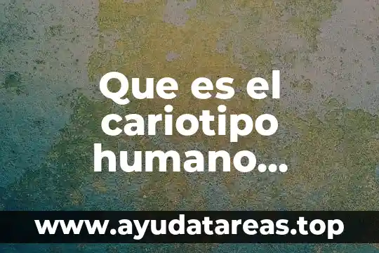 Que es el cariotipo humano definicion