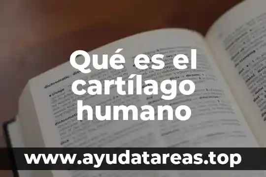 Qué es el cartílago humano