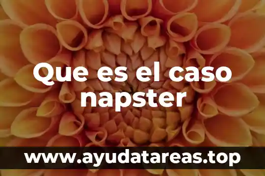 Que es el caso napster