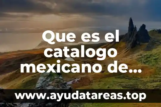 Qué es un diagrama de roles y actividades RAD 6 Que es el catalogo mexicano de actividades productivas