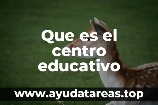 Que es softaculous educativo 3 Que es el centro educativo