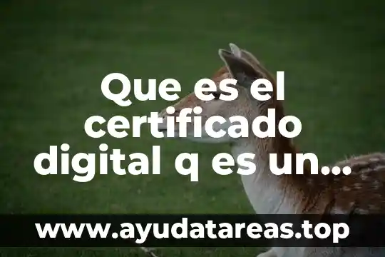 Digital q que es 7 Que es el certificado digital q es un cimbrado