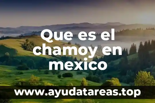 Empresas transnacionales en México 5 Que es el chamoy en mexico