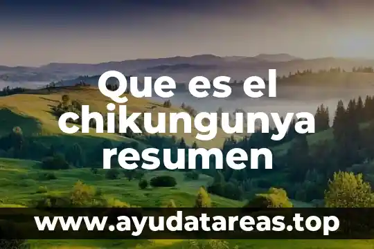 Que es resumen y tipos de resumen 7 Que es el chikungunya resumen