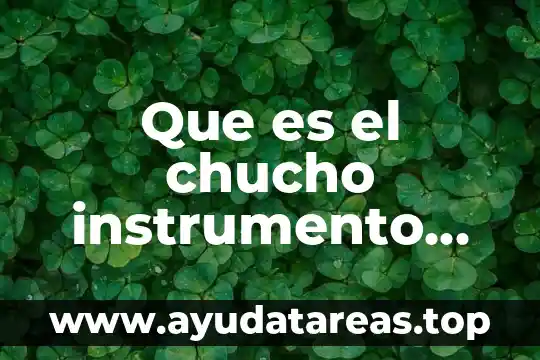 Que es el chucho instrumento musical