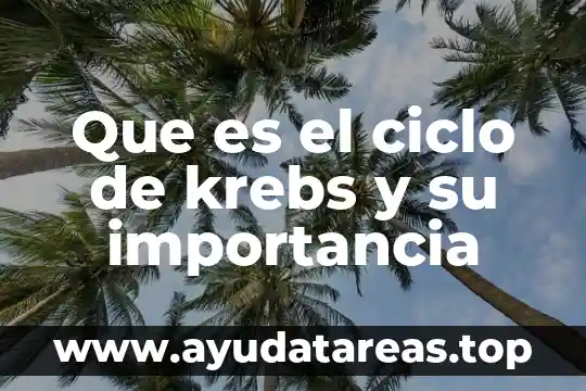 Ciclo del agua que es resumido 3 Que es el ciclo de krebs y su importancia