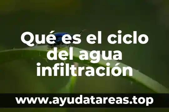 Ciclo del agua que es resumido 4 Qué es el ciclo del agua infiltración