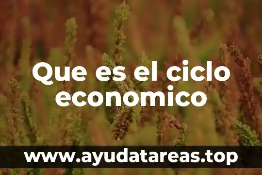 Que es el cuarto sector economico 5 Que es el ciclo economico