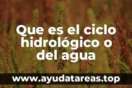 Que es el ciclo de vida de los sistemas 3 Que es el ciclo hidrológico o del agua