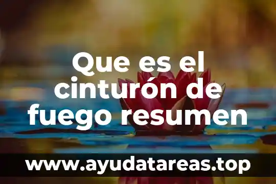 Que es resumen y tipos de resumen 5 Que es el cinturón de fuego resumen
