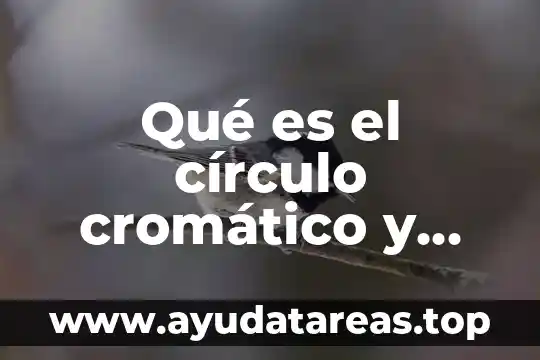 Inmunocal que es y efectos 3 Qué es el círculo cromático y qué efectos psicológicos