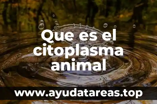 Animal tucán que es lo que comen 8 Que es el citoplasma animal