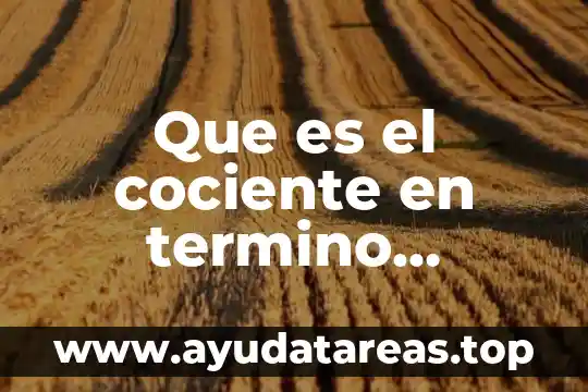 Que es termino en gramatica 8 Que es el cociente en termino matemático