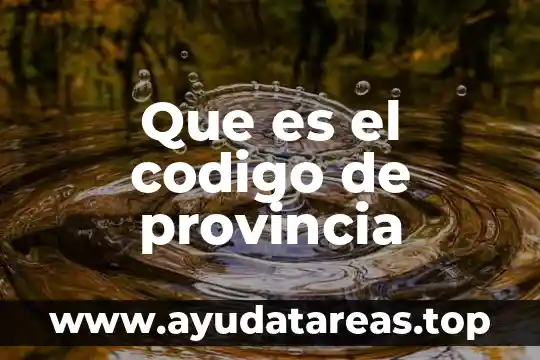 Que es el lenguaje apelativo 7 Que es el codigo de provincia