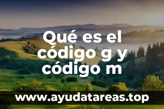 Talla M de hombre que es en número 7 Qué es el código g y código m
