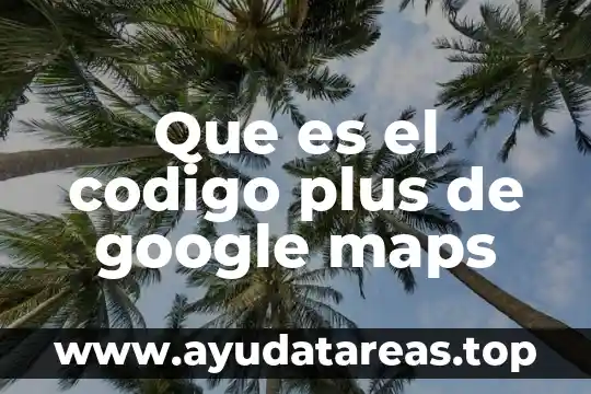 Que es el codigo plus de google maps