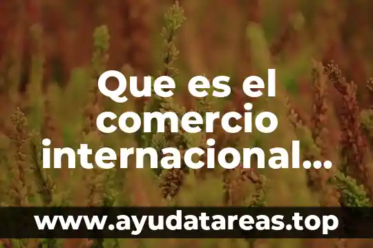 Que es el id de comercio de paypal 7 Que es el comercio internacional einterdepencia economica